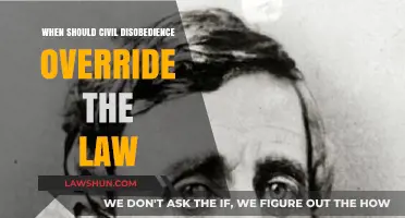 When Civil Disobedience Becomes Necessary: Overriding Unjust Laws