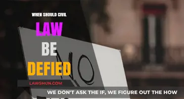 When Civil Law Conflicts with Justice: Justifying Defiance and Resistance