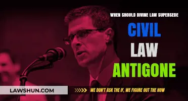 Divine vs. Civil Law: When Should Antigone's Choice Prevail?