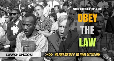 When Civil Disobedience is Justified: Breaking Laws for Greater Good