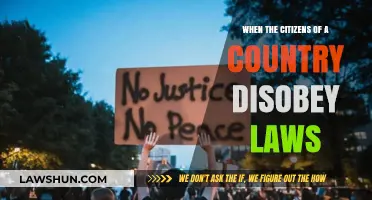 Civil Disobedience: When Citizens Challenge the Legal Boundaries of a Nation