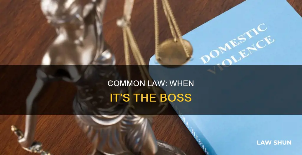 when the common law is the controlling law
