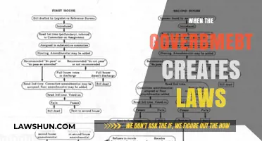 Crafting Laws: Government's Role and Responsibility