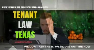 Landlord's Illegal Acts: Protecting Texas Tenants' Rights