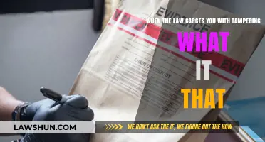 Understanding Legal Tampering Charges: What They Mean and How They Impact You