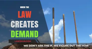 The Law's Demand Creation: Unintended Consequences