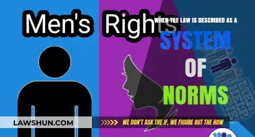 Understanding Law as a System of Norms: Structure, Function, and Impact
