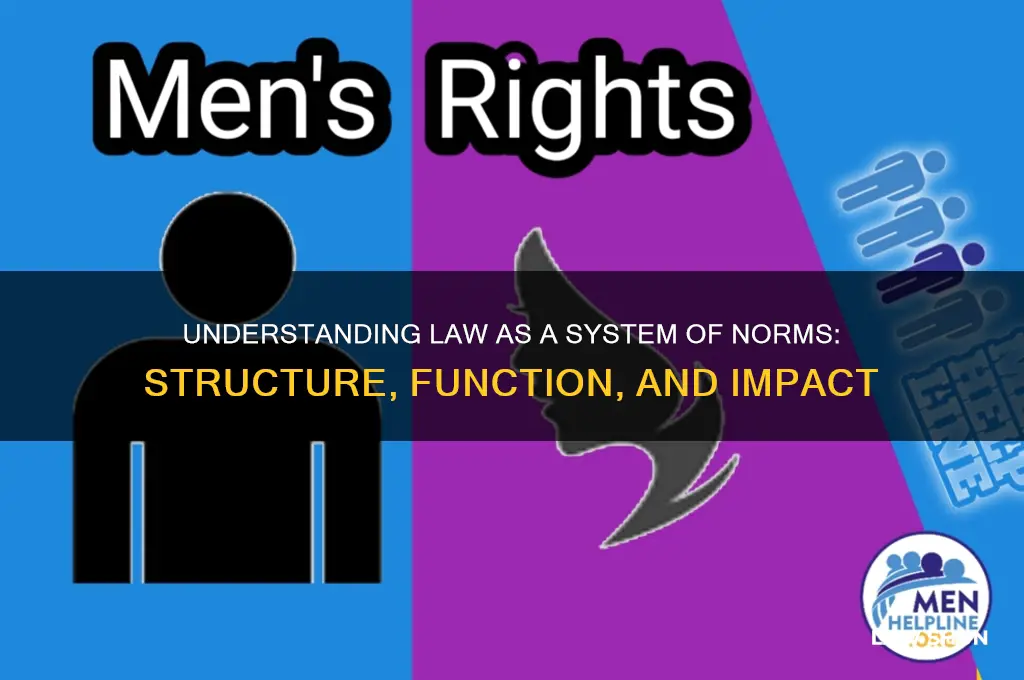when the law is described as a system of norms