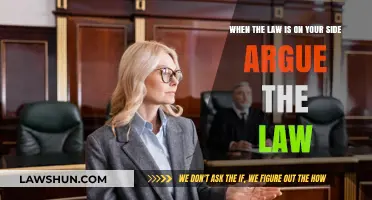 Arguing the Law: Empowering Your Case with Legal Authority