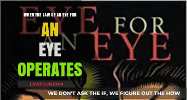 Eye for an Eye: Justice or Retaliation in Modern Law?