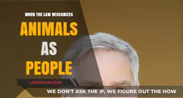 Animals as Legal Persons: Redefining Rights and Responsibilities in Law