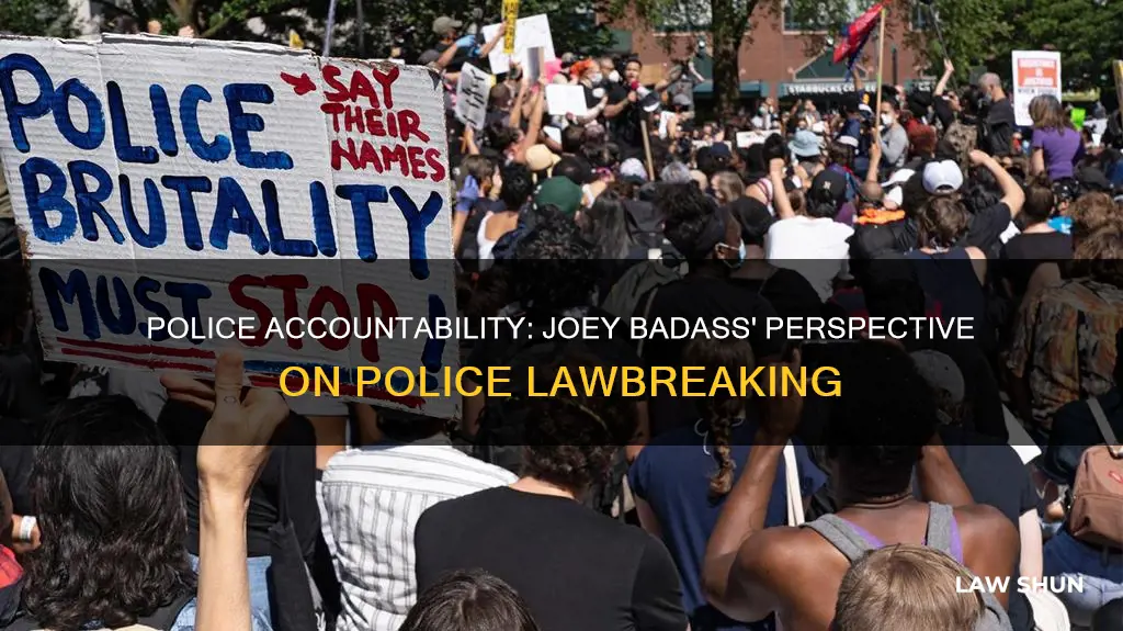 when the police break the law joey badass