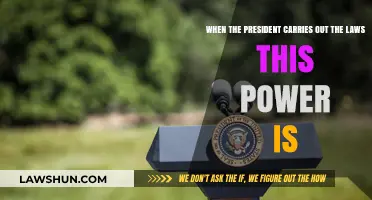 Presidential Authority: Executing Laws and Upholding the Nation's Constitution