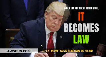 The President's Signature: Power to Pass Laws