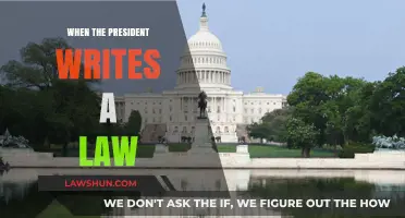 When the President Writes a Law: Power, Process, and Implications