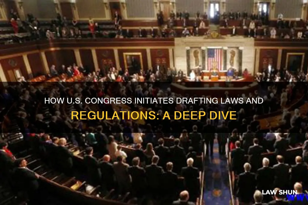 when the us congress begins to draft laws and regulations