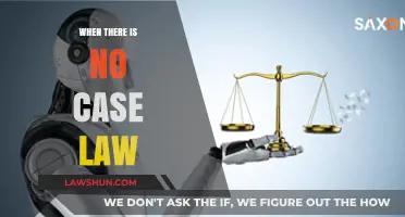 How to Argue When There's No Case Law