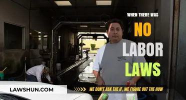 Life Before Labor Laws: A Harsh Reality of Unprotected Workers