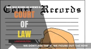 Legal Review: How Court Proceedings Evaluate and Interpret Official Records