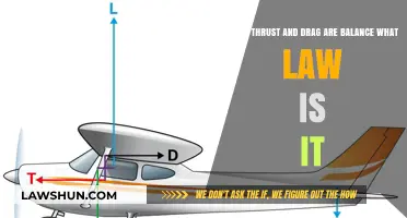 When Thrust and Drag Balance: Exploring Newton's First Law in Flight