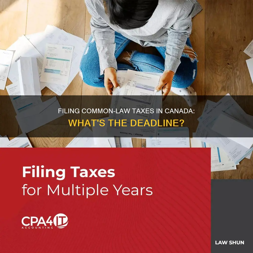 when to file common law canada taxes