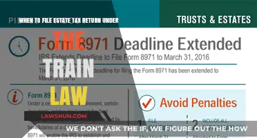 Estate Tax Returns: Train Law Filing Guide