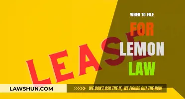 When to File for Lemon Law: Key Signs and Timing Tips