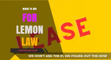 When to Sue Under Lemon Law: Key Signs and Steps