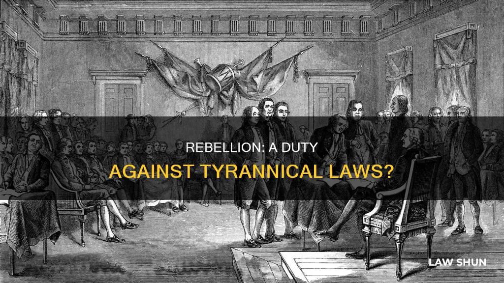 when tyranny becomes law rebellion becomes duty mask