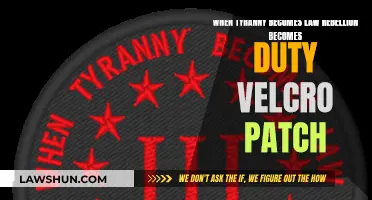 Rebellion Duty: Patching Tyranny with Law & Liberty