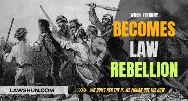 Rebellion: The Only Option Against Tyrannical Laws