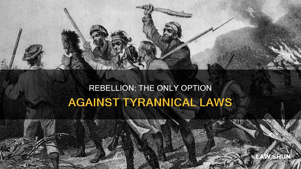 when tyranny becomes law rebellion