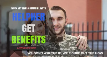 Vets and Common Law: Benefits and Beyond