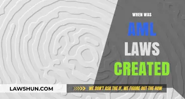 A History of AML Laws