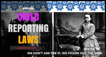 The Evolution of Child Reporting Laws: A Historical Overview