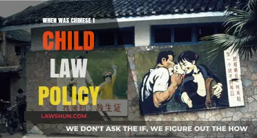 China's One-Child Policy: Origins, Implementation, and Historical Timeline