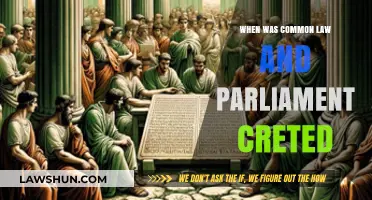 The Evolution of Common Law and Parliament