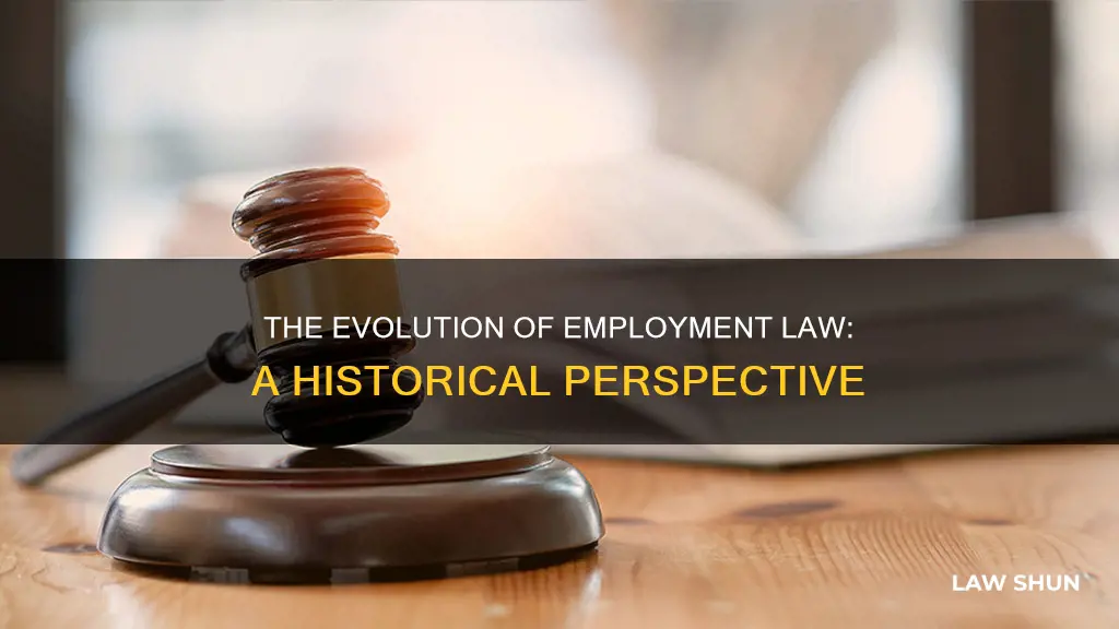 when was employment law created