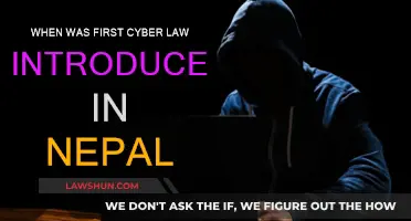 Nepal's First Cyber Law: A Historical Overview