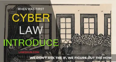 The First Cyber Law: A Historical Overview