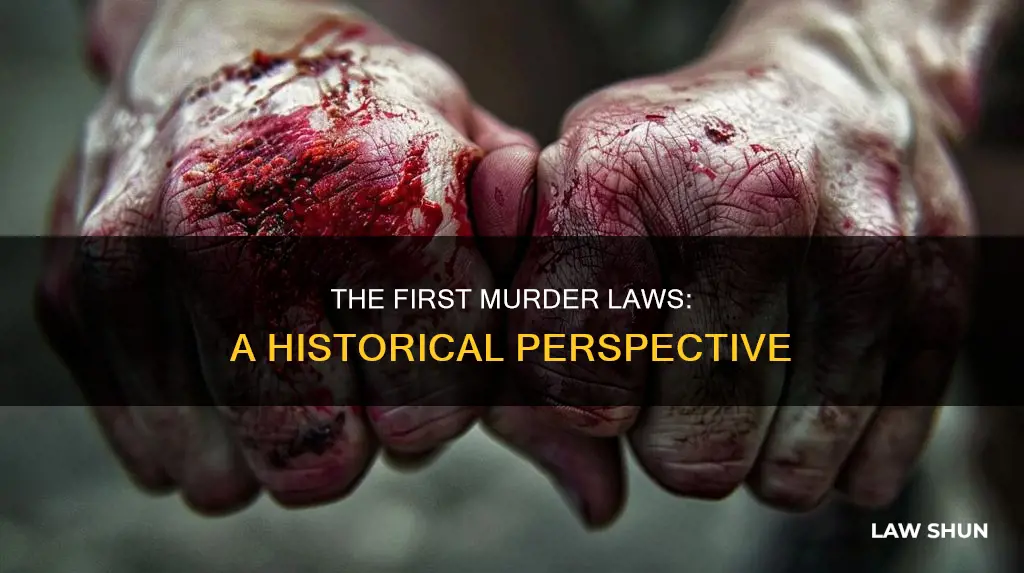 when was first murder laws created