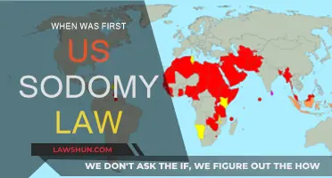 The First US Sodomy Law: A Historical Overview