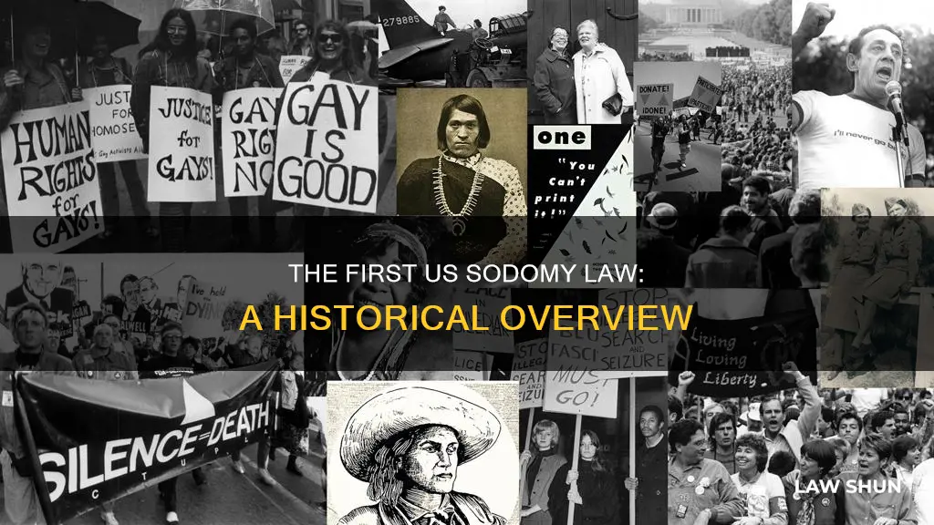 when was first us sodomy law