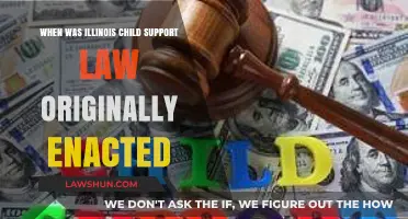 Illinois Child Support Law: Origins and Original Enactment Date