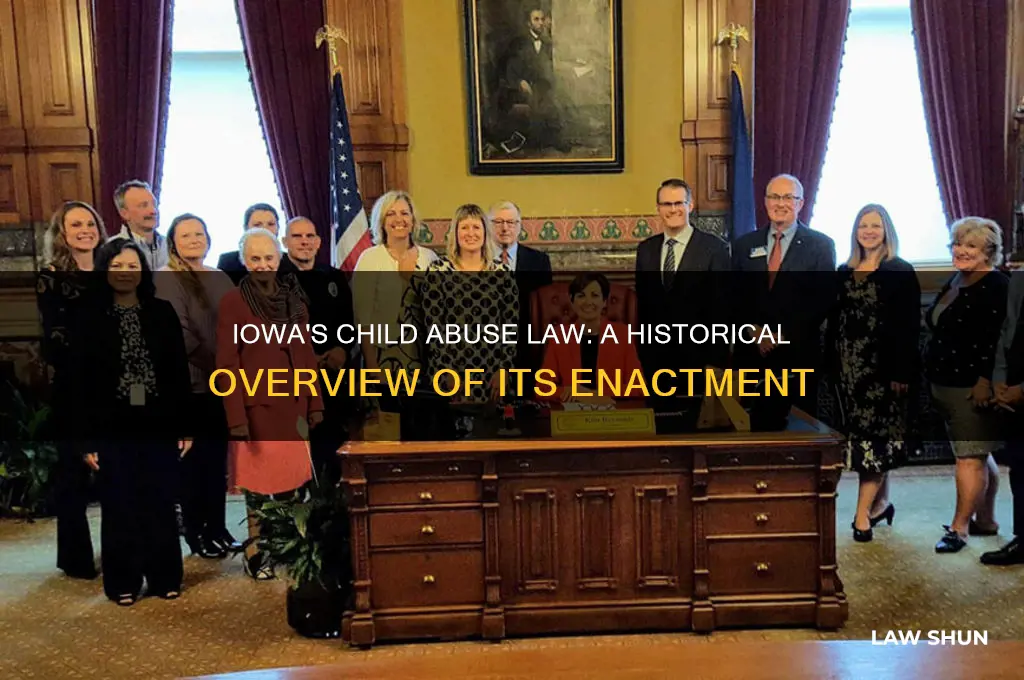 when was iowas child abuse law enacted