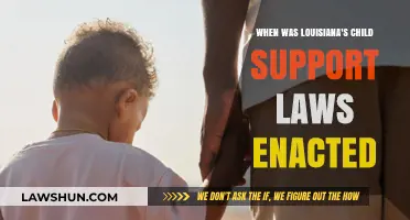 Louisiana's Child Support Laws: A Historical Overview of Enactment