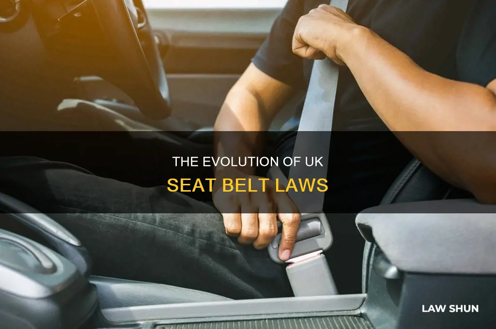 when was seat belt law introduced in uk