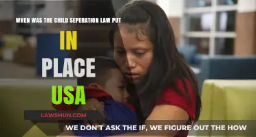 The History of Child Separation Policy in the USA: Timeline