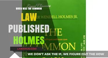 The Evolution of Common Law: Holmes' Legacy