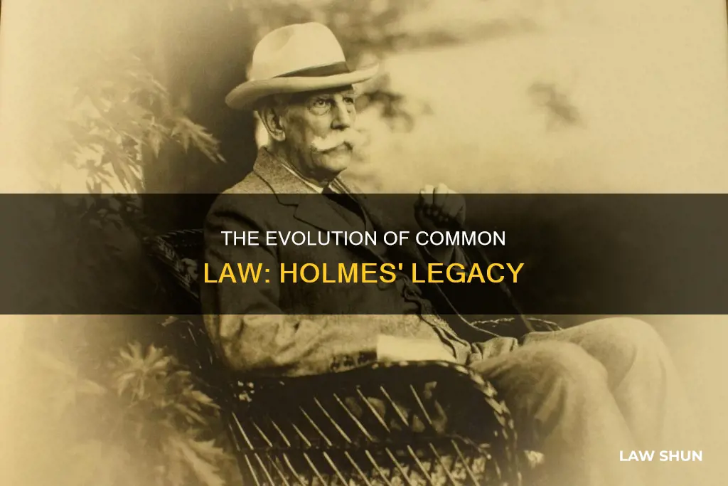 when was the common law published holmes